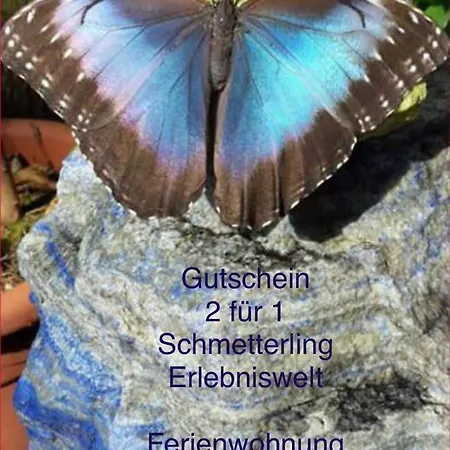 아파트 Anneliese *