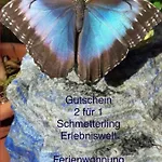 Anneliese Apartmán Pfronten
